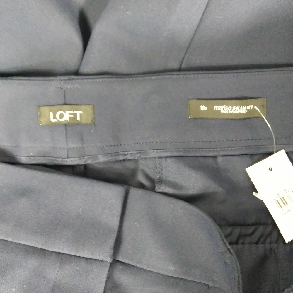 Loft Plus skinny pant